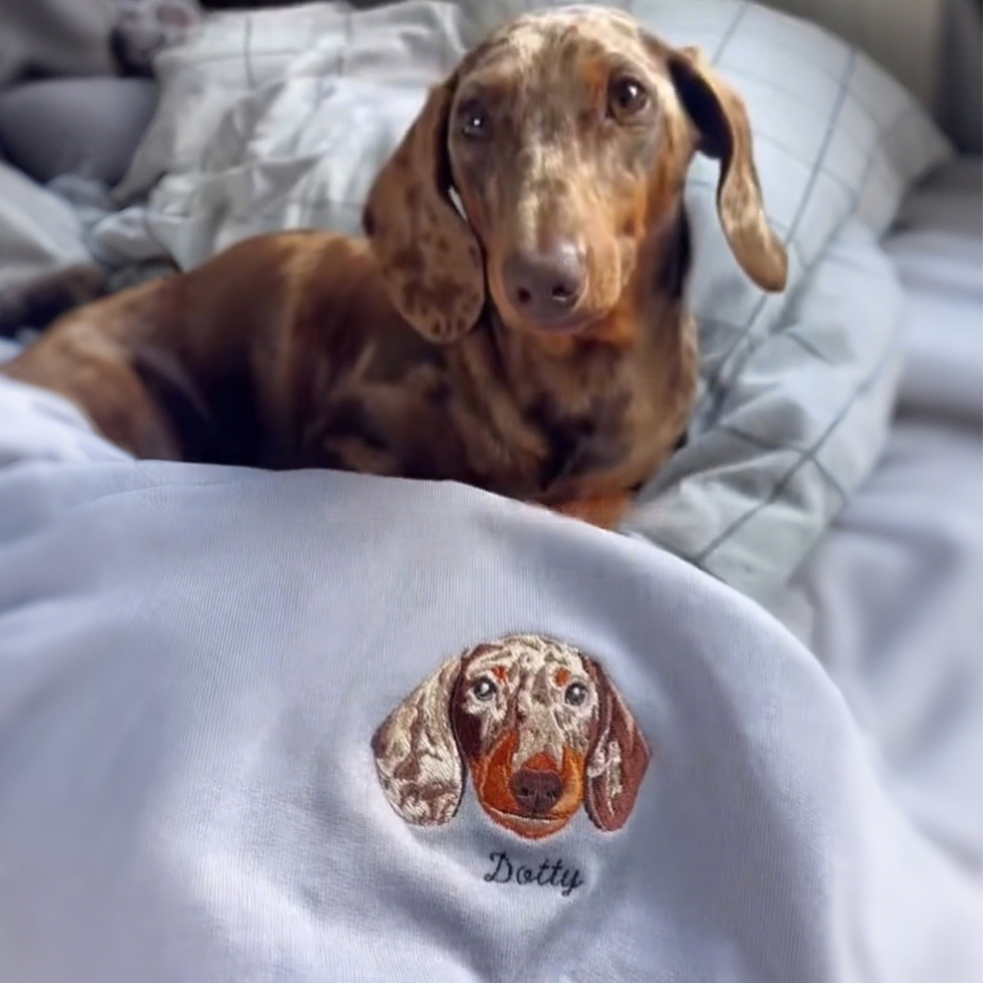 Rich Colors,Custom Embroidered Pet Face Sweatshirt from Your Photo