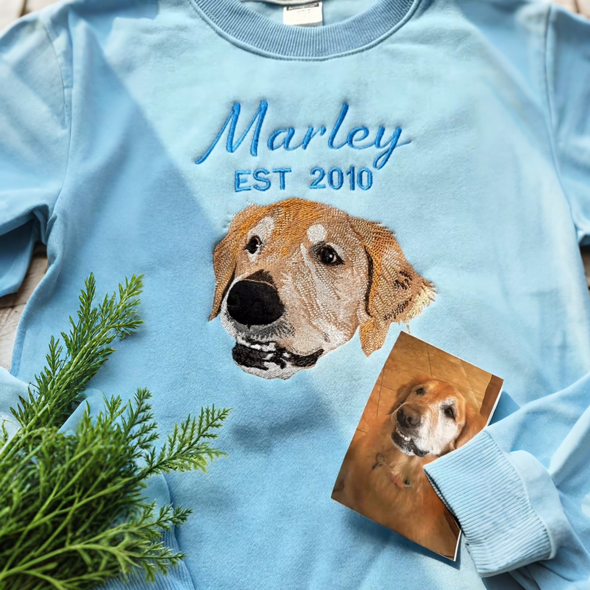 EST Personalized Pet Portrait Embroidered Hoodie, Custom Pet Lover Gift