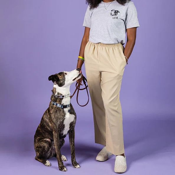 Custom Embroidered Pet Face T-shirt, Sweatshirt, Hoodie