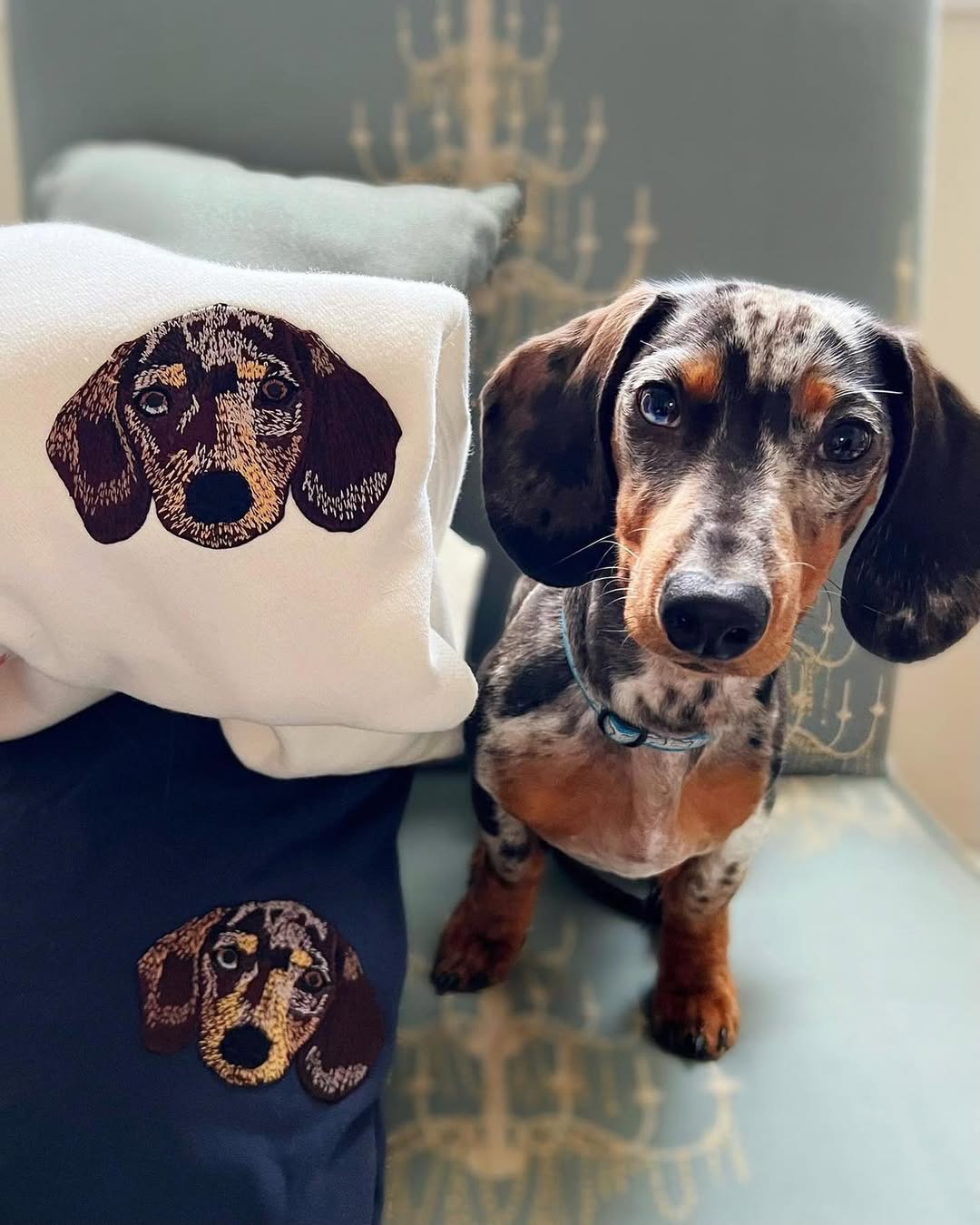 Rich Color Custom Embroidered Dog Face Sweatshirt from Your Photo