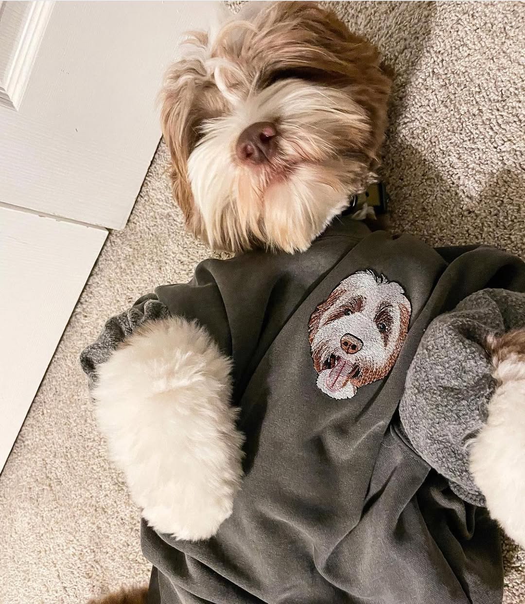 Personalized Dog Photo Hoodies - Custom Pet Name Embroidered Sweatshirts - Dog Owner Gift