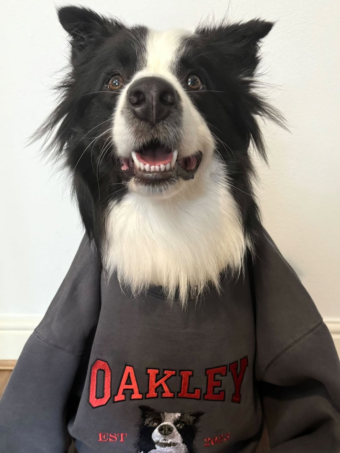 Custom Pet Portrait Embroidered Hoodie And Sweatshirt, Pet Lover Gift