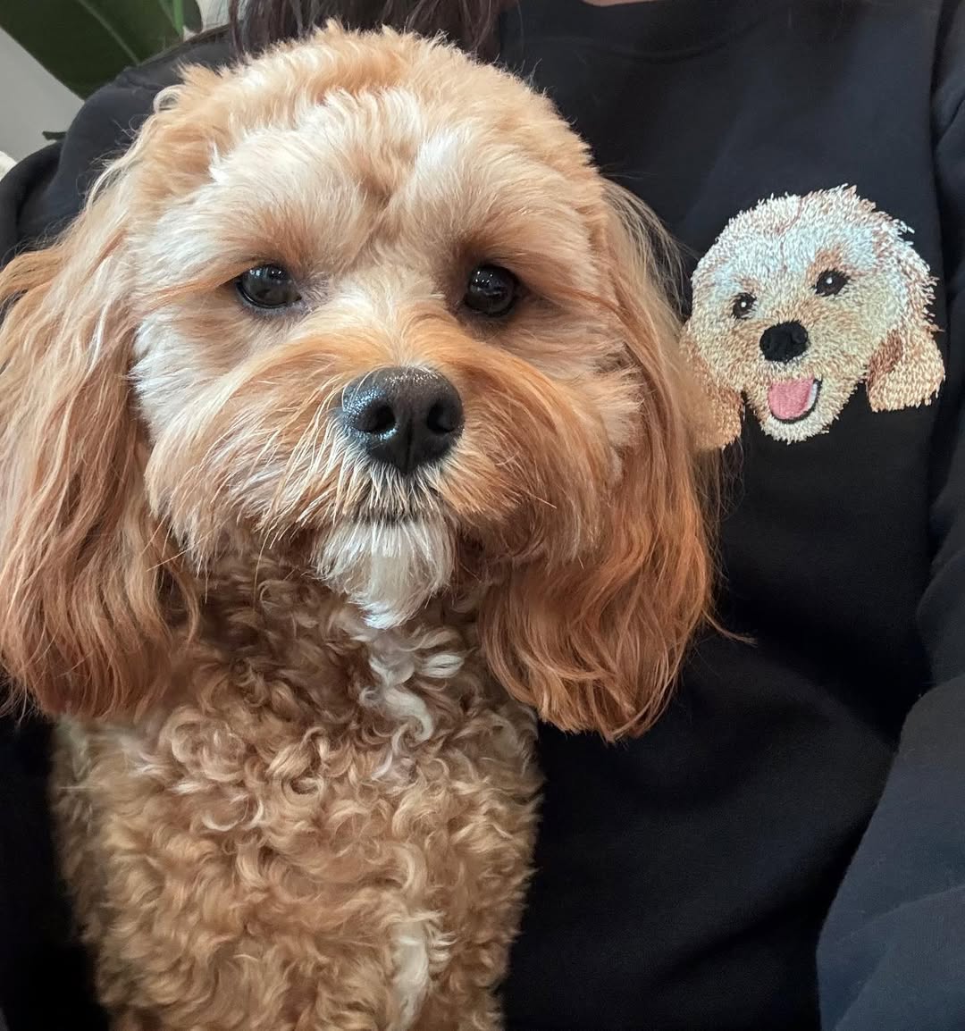 Rich Color Custom Embroidered Dog Face Sweatshirt from Your Photo