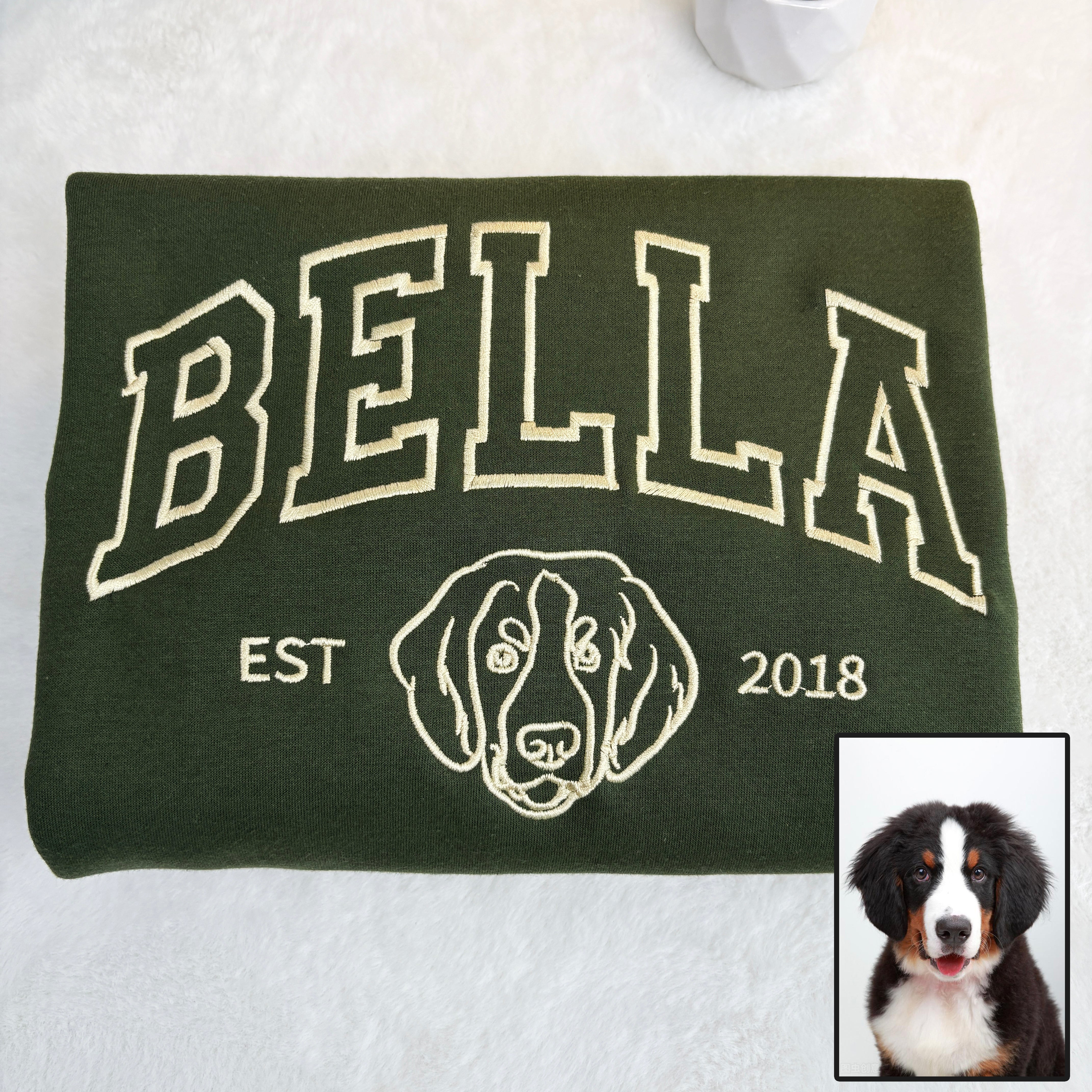 Custom Pet College Sweatshirt/Hoodie