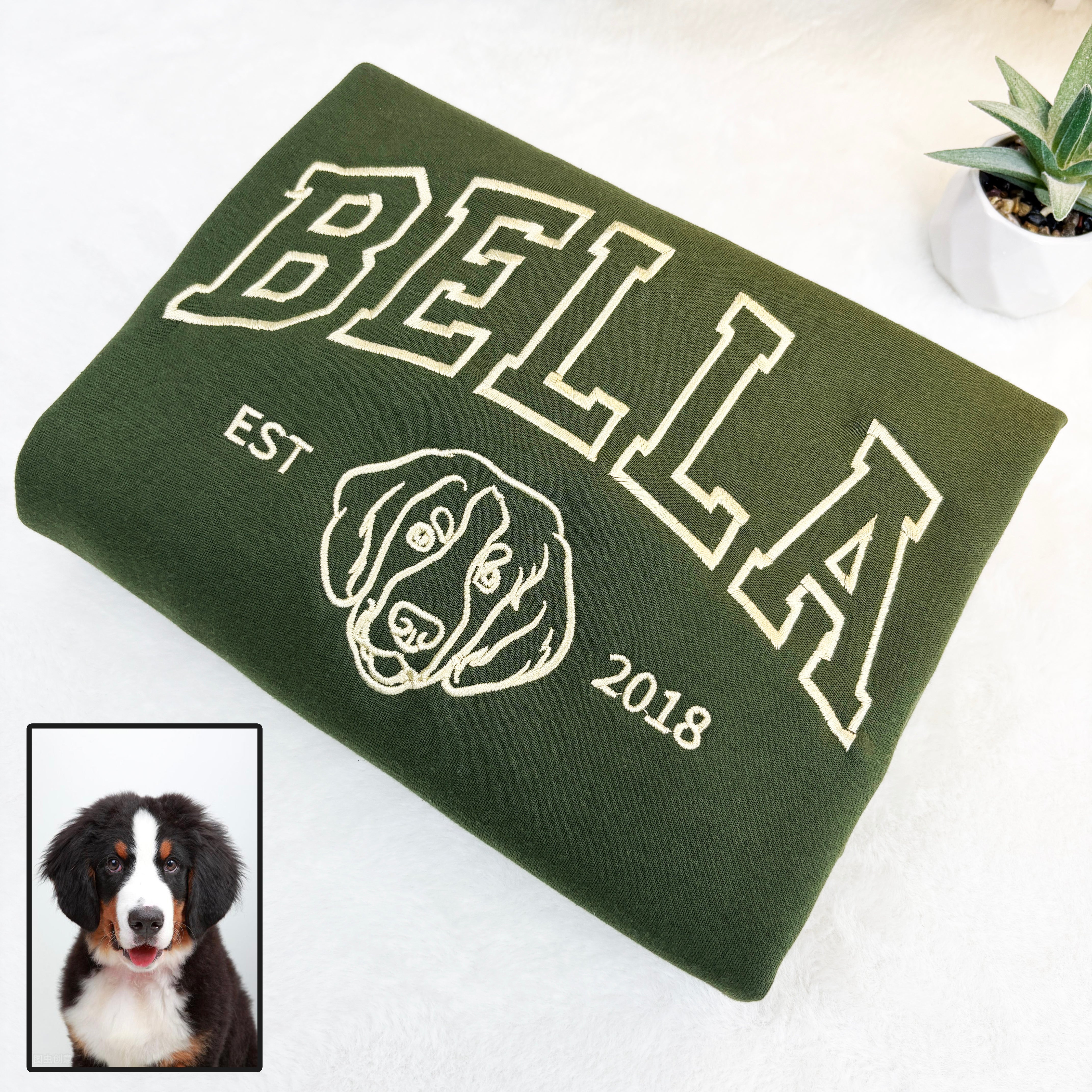 Custom Pet College Sweatshirt/Hoodie