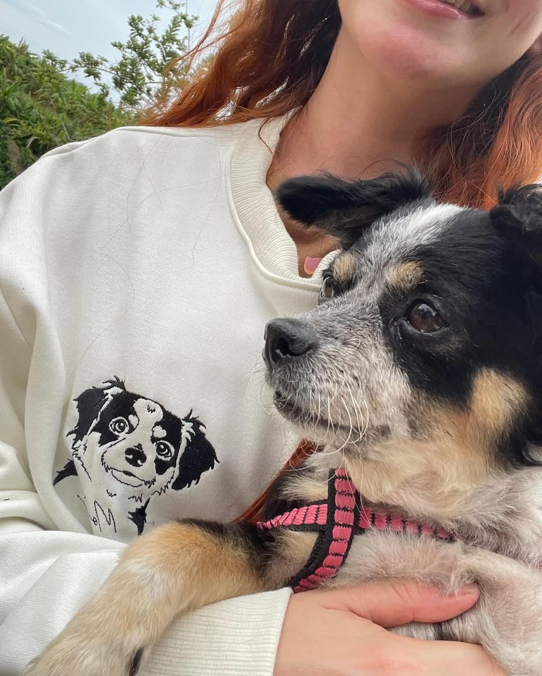 Custom Embroidered Pet Face T-shirt,Personalized hoodie embroidered with multiple pets