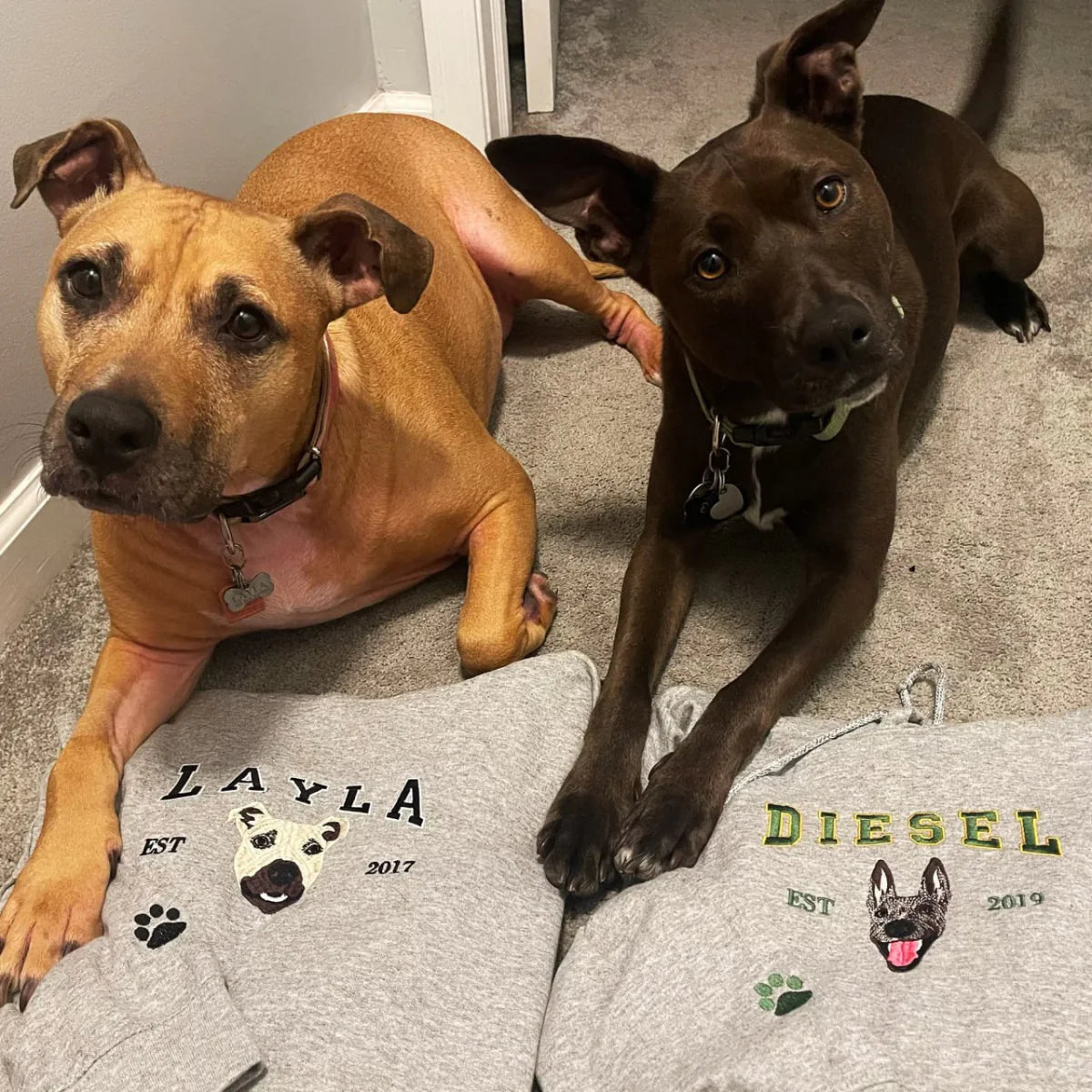 Personalized Embroidered Pet Face and Name Est T-shirt Keepsake Gift for Pet Lovers