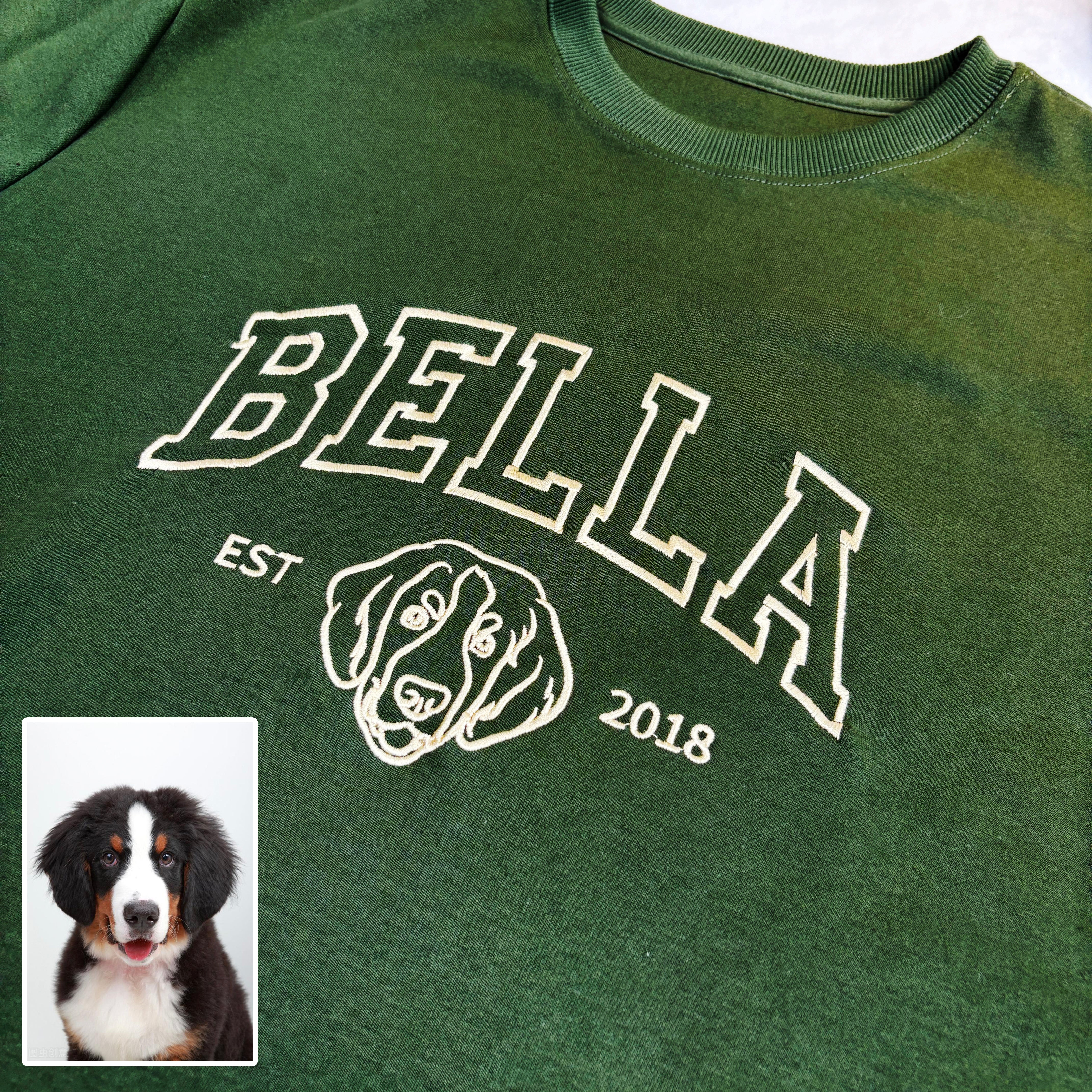 Custom Pet College Sweatshirt/Hoodie