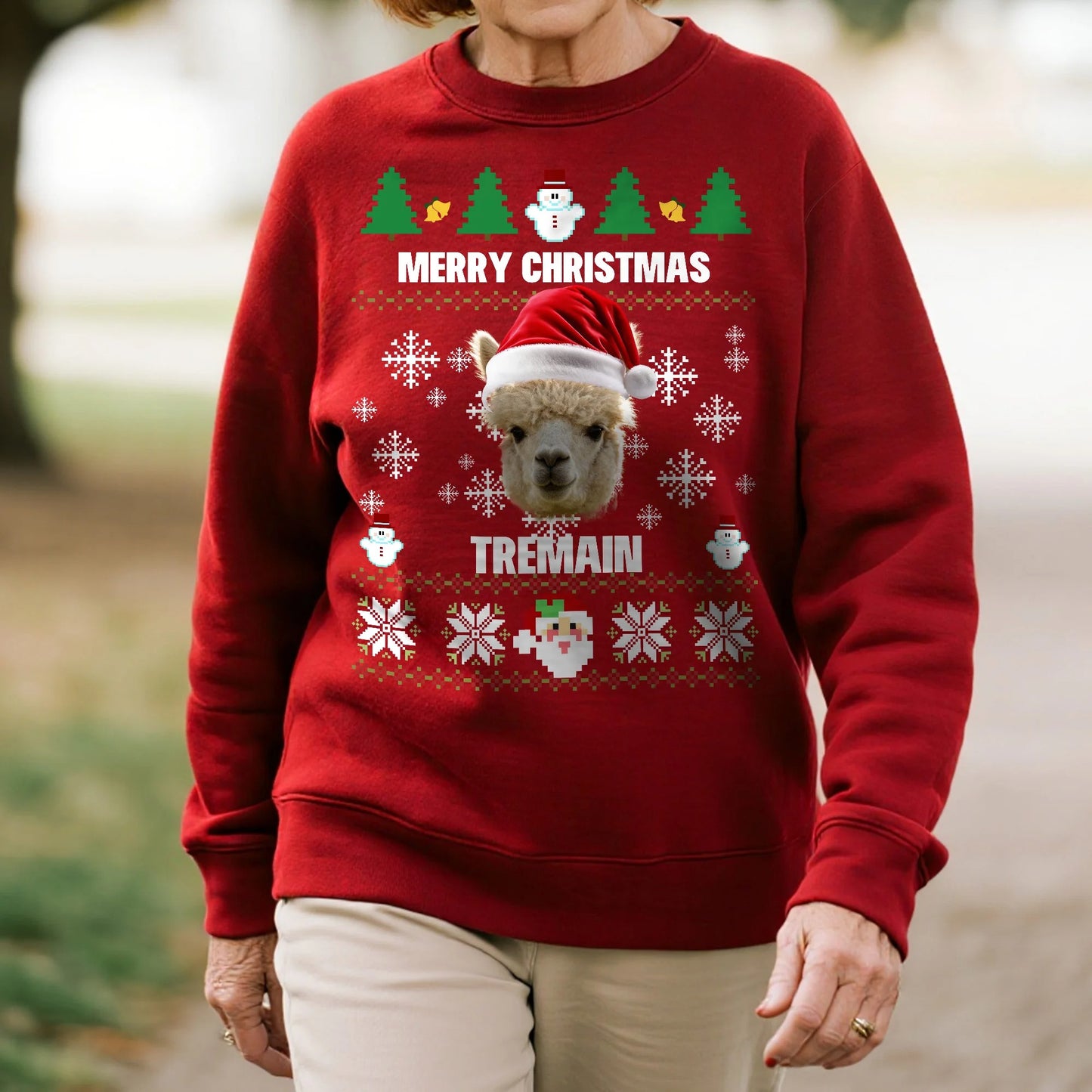 Personalized Multicolor Santa Hat 1-2 Pet Face Photos Soft Sweatshirt with Name Christmas Gift for Pet Owners