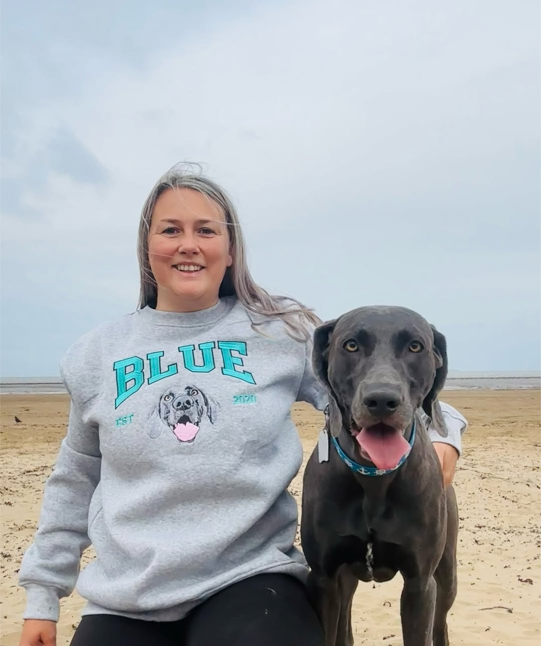 Custom Pet Portrait Embroidered Hoodie And Sweatshirt, Pet Lover Gift