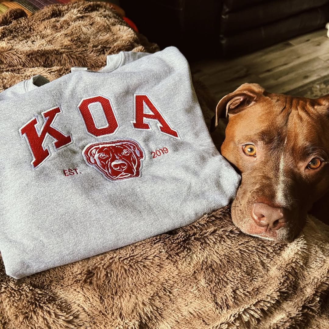 Personalized Embroidered Pet Sweatshirt with Portrait From Photo and Name, Gifts For Pet Owners