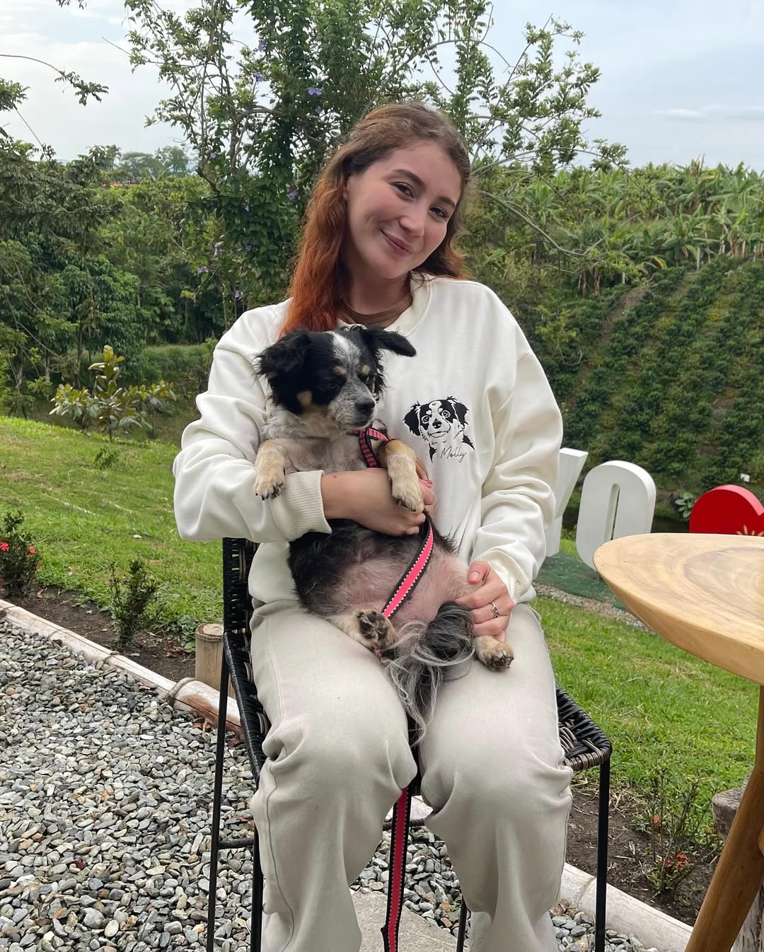 Custom Embroidered Pet Face T-shirt,Personalized hoodie embroidered with multiple pets