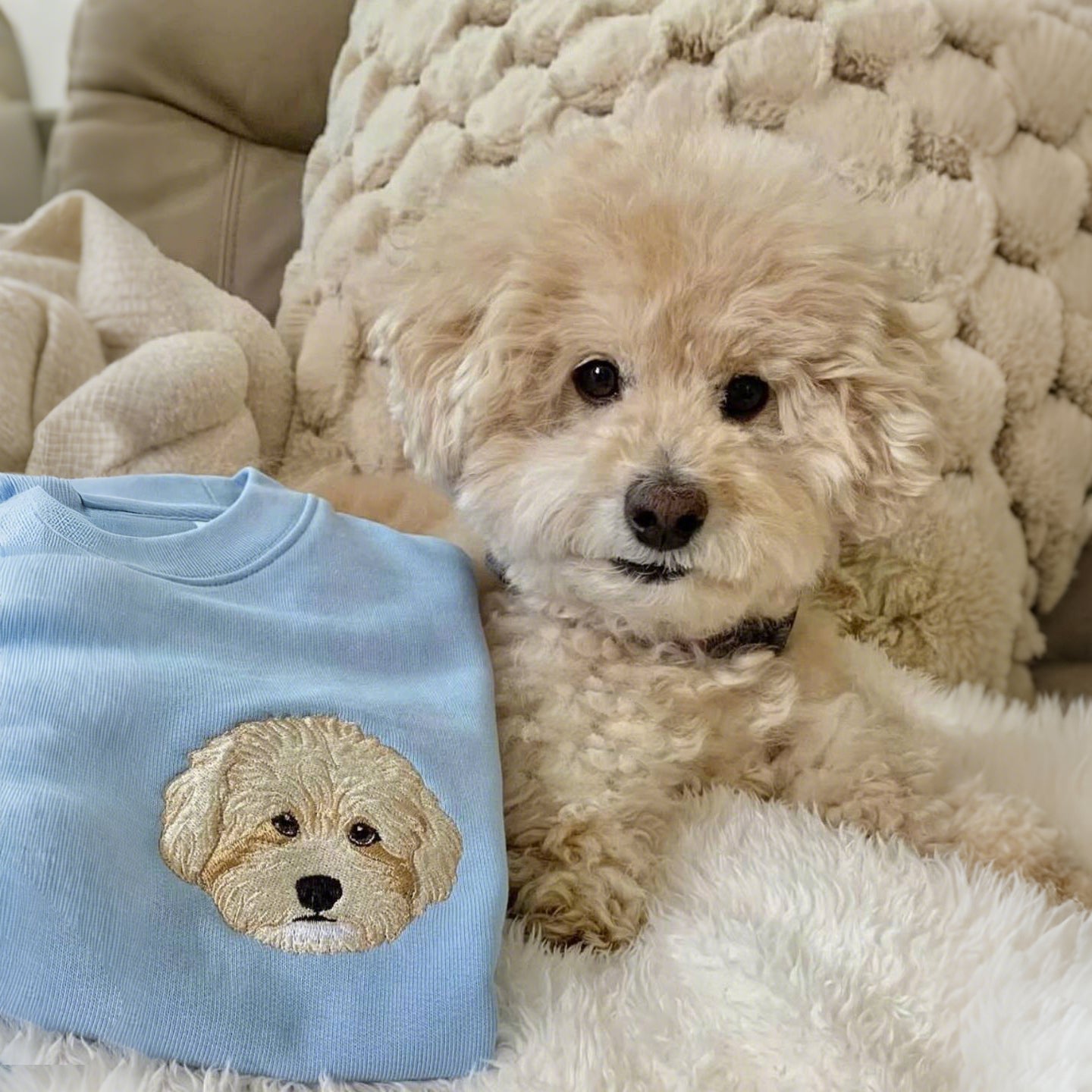 Rich Colors,Custom Embroidered Pet Face Sweatshirt from Your Photo