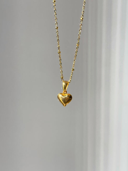 Stainless Steel Chain Minimalist Openable Heart Raquel Necklace