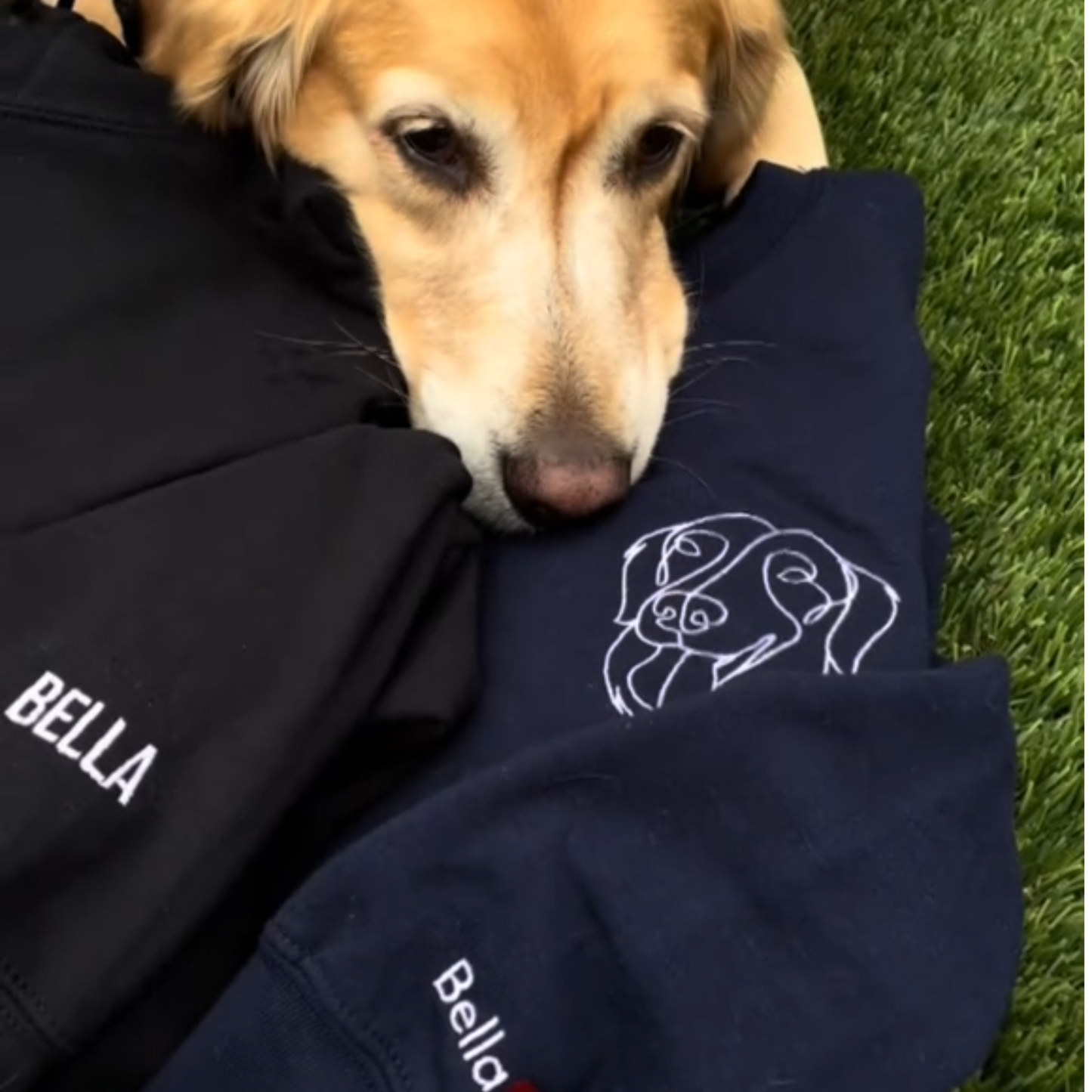 Custom Christmas Pet Face Sketch Embroidered Fleece Hoodie with Santa Hat