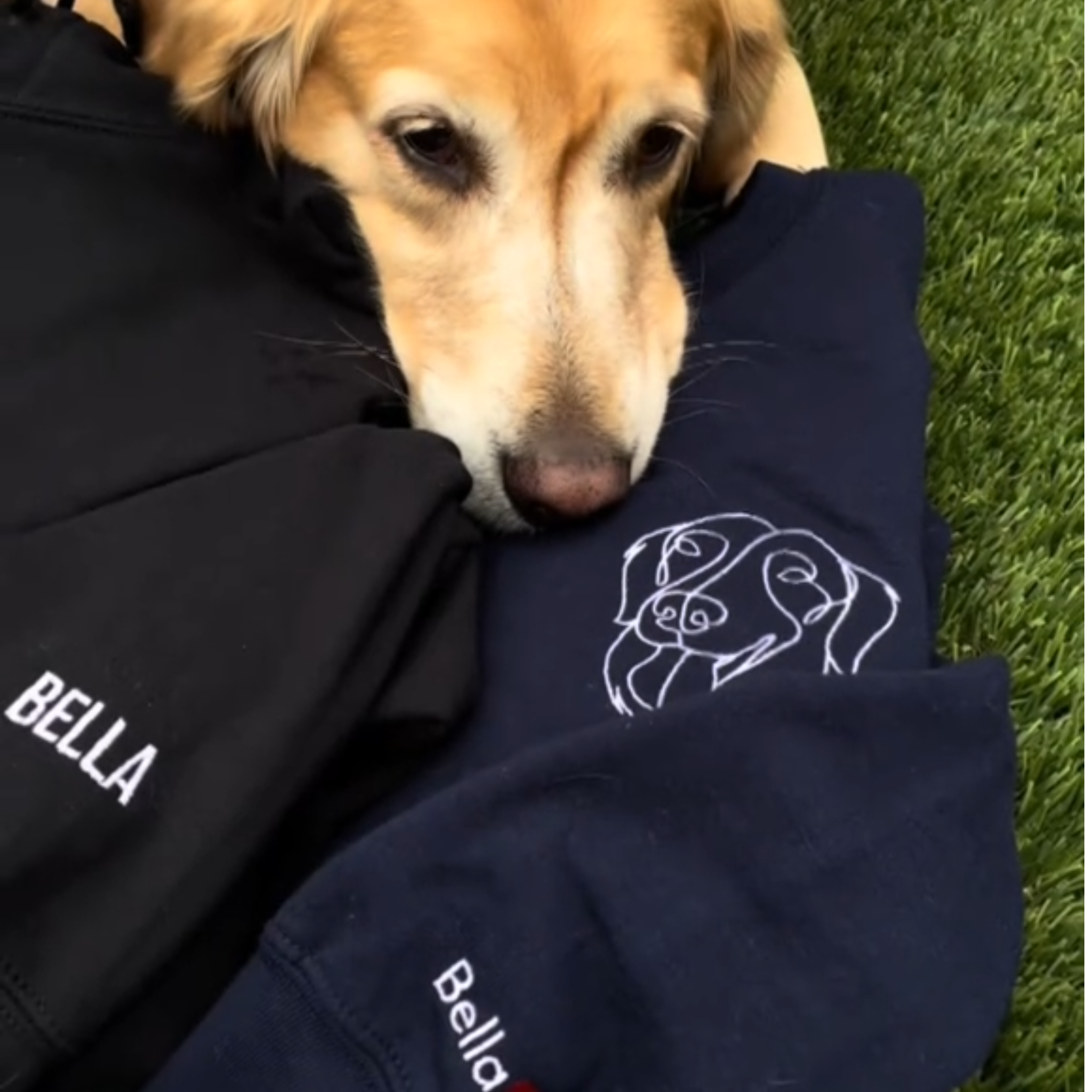 Custom Christmas Pet Face Sketch Embroidered Fleece Hoodie with Santa Hat