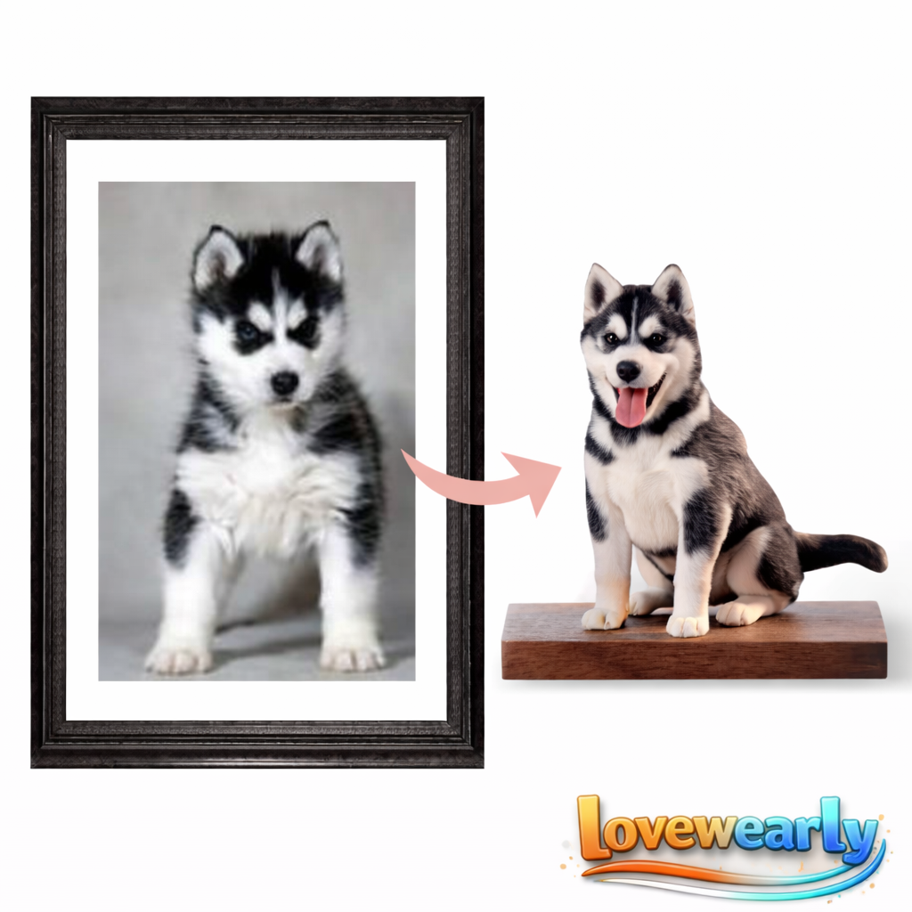 Customizable 3D Figure