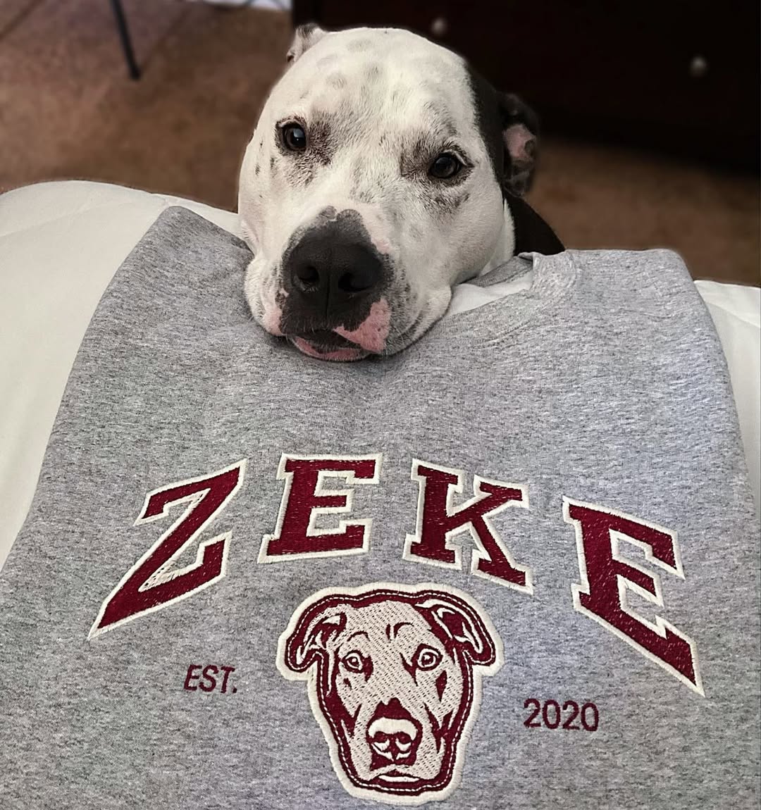 Personalized Embroidered Pet Sweatshirt with Portrait From Photo and Name, Gifts For Pet Owners