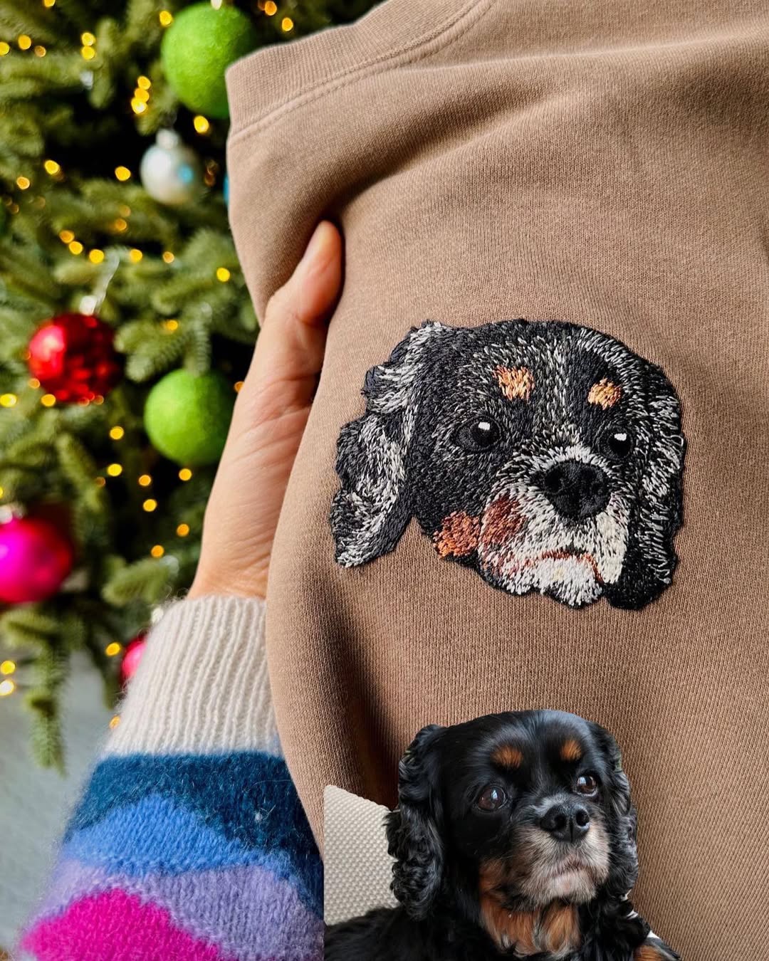 Custom Dog Portrait T-shirt , Personalized Pet Embroidery Hoodies , Dog Lover Gift