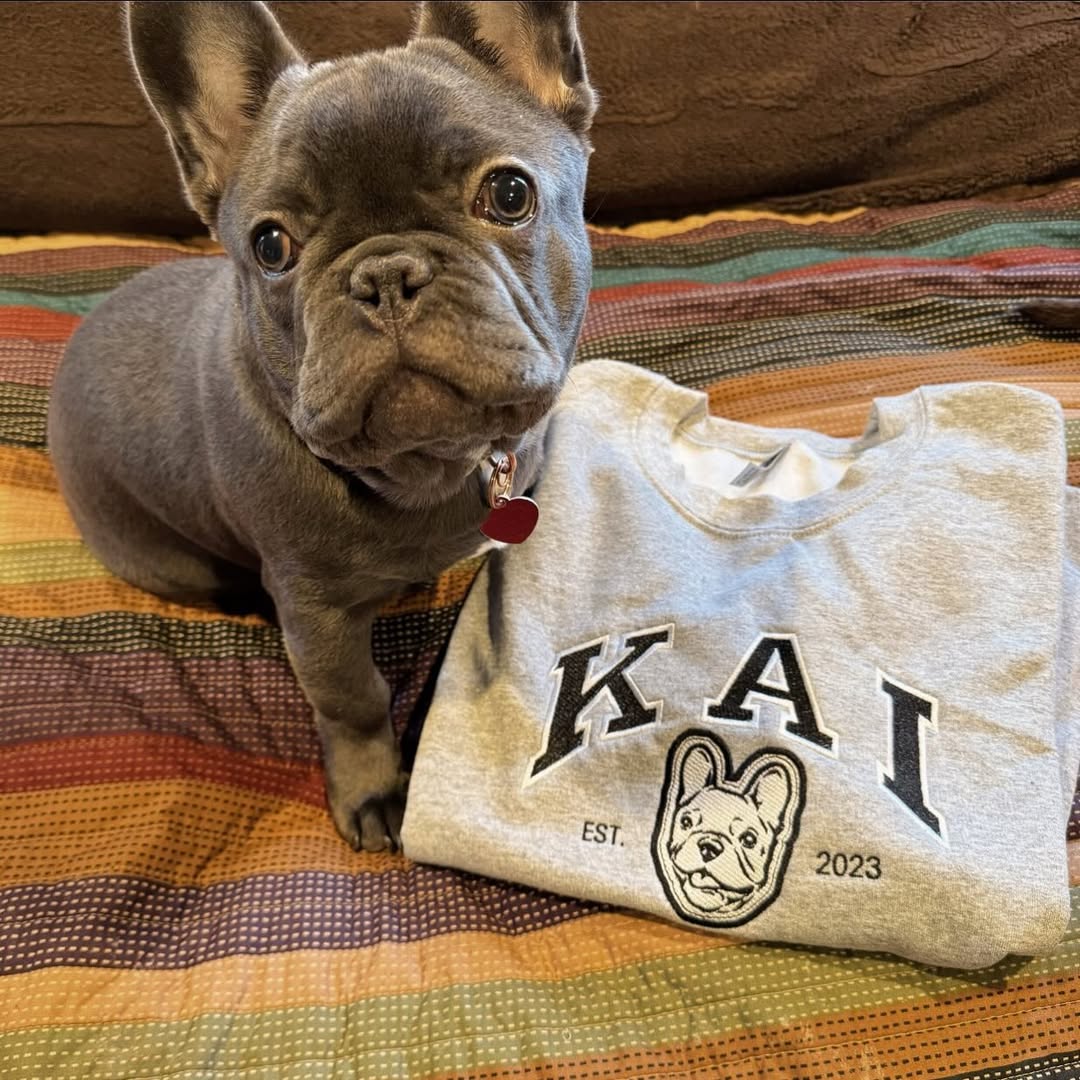 Personalized Embroidered Pet Sweatshirt with Portrait From Photo and Name, Gifts For Pet Owners